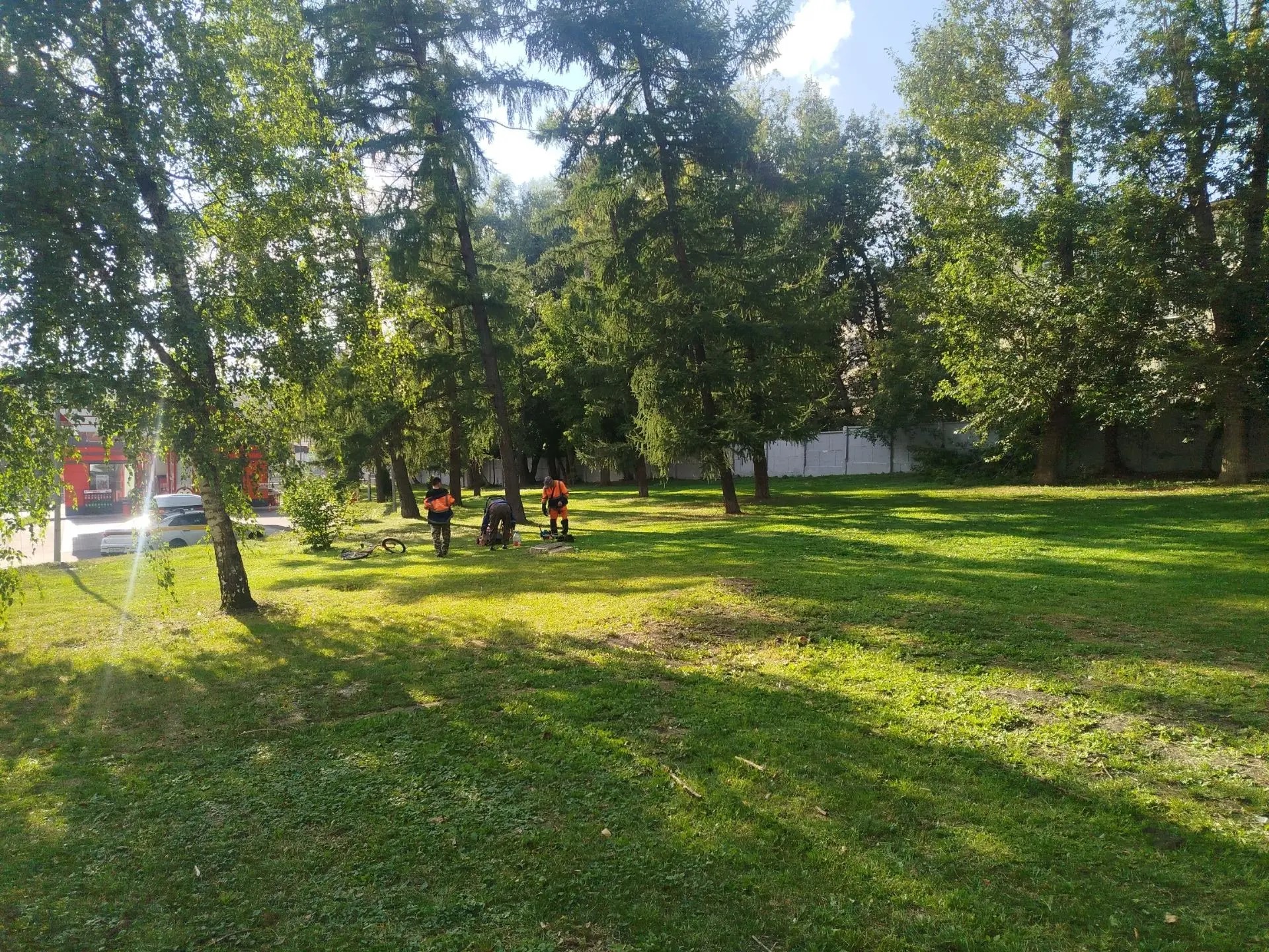 Деятельность нашей организации